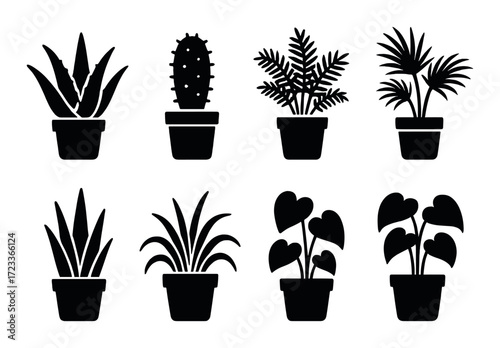 Silhouettes of various potted plants against subtle green background