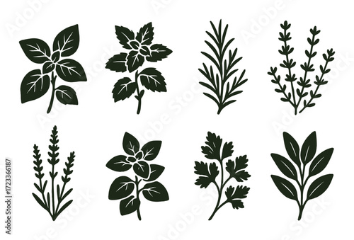Silhouette collection of various herbs on olive background
