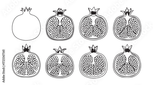 Collection of pomegranate halves and whole fruit silhouette