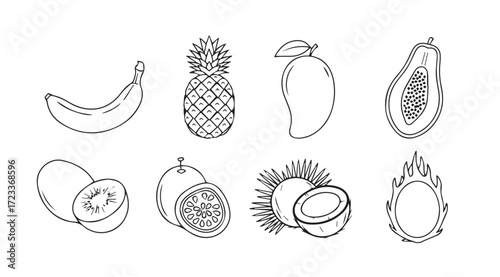 Collection of tropical fruits illustrated in a distinctive silhouette style