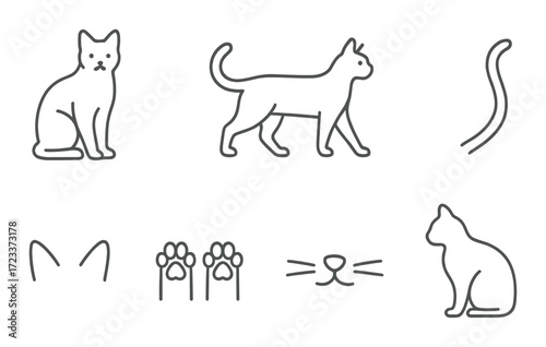 Cat outlines and features on gradient background