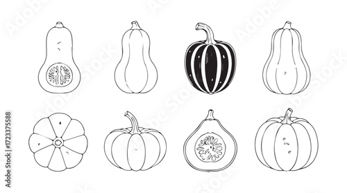 Set of hand drawn autumn harvest pumpkins and gourds line art seasonal vegetables collection silhouette