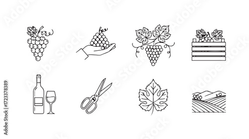 Artistic sketch collection of grapes wine vineyard elements and tools for culinary delights silhouette