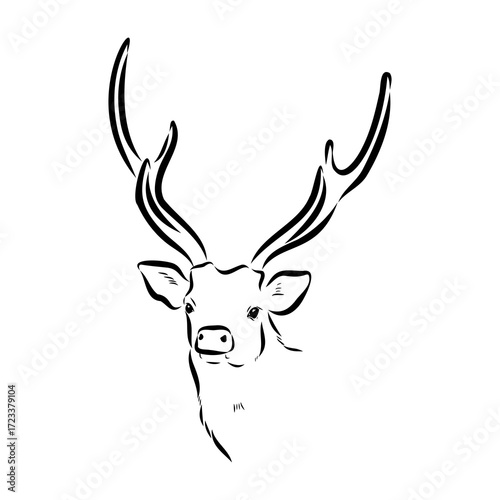 Axis the deer, vector sketch
