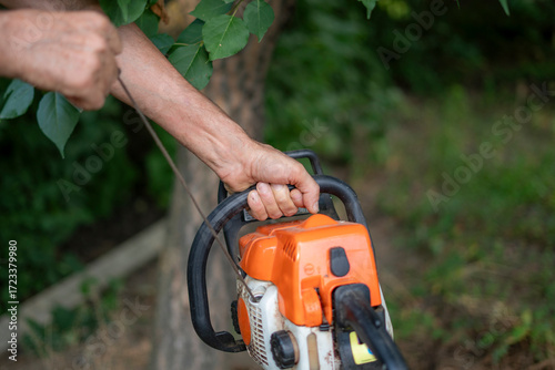 Wallpaper Mural Hands starting a chainsaw by jerking starter, ready to start cutting branches in a residential backyard Torontodigital.ca