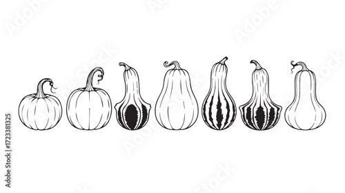 Row of six different hand-drawn gourds and pumpkins in black and white for autumn harvest silhouette