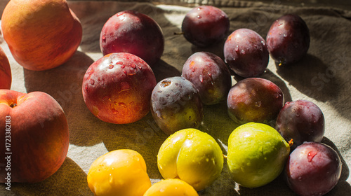 Ripe, Bright Peaches and Plums on the Table