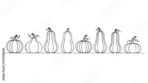 Diverse hand drawn pumpkin line art collection for autumn harvest seasonal decorations silhouette