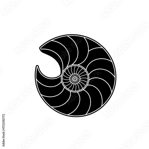 Nautilus shell cross section silhouette isolated on white background