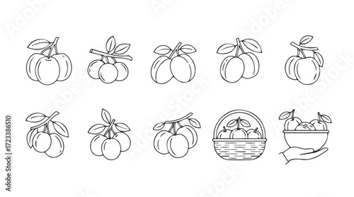 Hand drawn sketch collection of fresh fruit and vegetables with leaves tied with string silhouette
