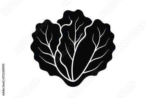 lettuce icon silhouette vector illustration
