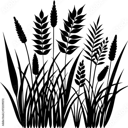 wheat ears vector