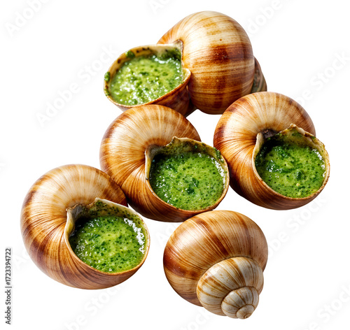 Escargots French snails, isolated on transparent background, png