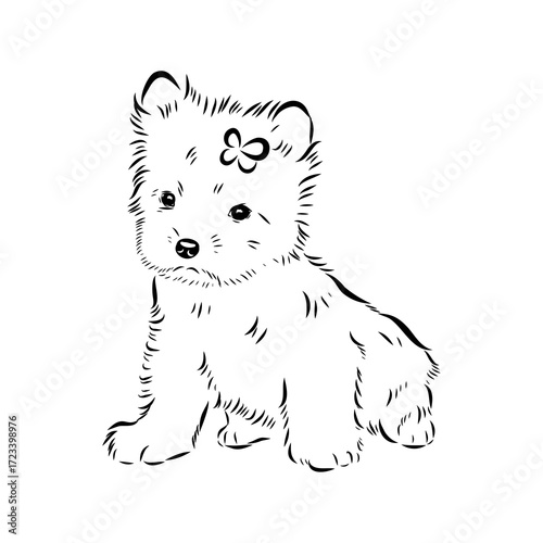 Beaver Yorkshire terrier, vector sketch