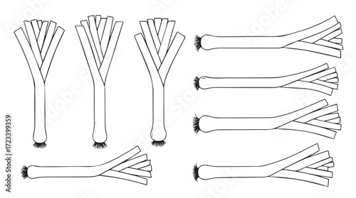Collection of kitchen whisks showing different styles and angles for cooking and baking silhouette