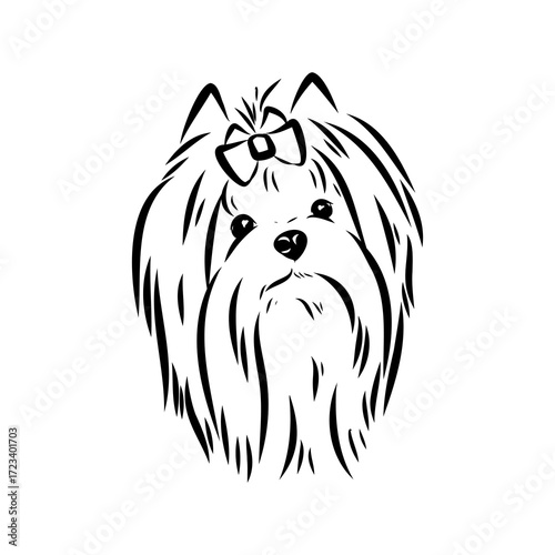Beaver Yorkshire terrier, vector sketch