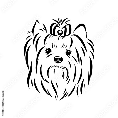 Beaver Yorkshire terrier, vector sketch
