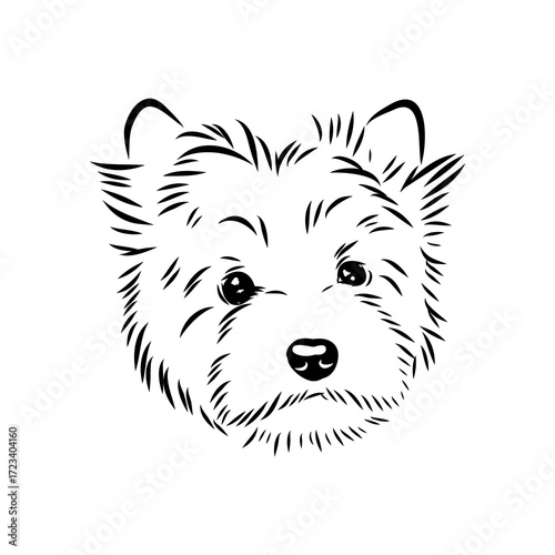 Beaver Yorkshire terrier, vector sketch