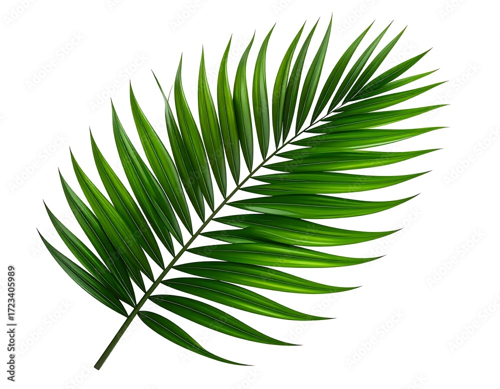 Fototapeta premium Vibrant green palm leaf isolated on white