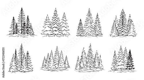 Collection of hand-drawn evergreen trees sketches for winter and nature designs silhouette