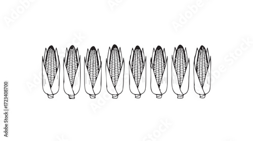 Vintage botanical drawing of eight detailed cicada insects showing thorax abdomen and wings in row silhouette