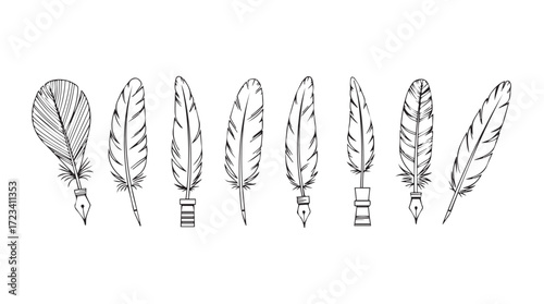 Collection of artistic feather hand-drawn sketches with intricate details and varied textures silhouette