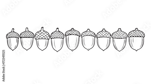 Row of detailed hand drawn acorn styles collection for autumn natural design elements silhouette