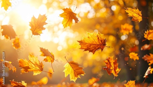 Golden autumn leaves falling gracefully in a sunlit park during the peak season of fall foliage