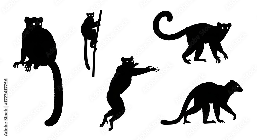 Naklejka premium Silhouettes of lemurs in various poses isolated on white background