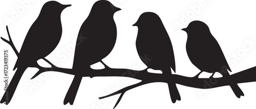 Birds sitting on a branch