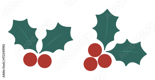 Christmas holly leaves and berries_Holiday vector illustration