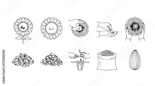 Collection of hand-drawn botanical elements and flowers for artistic design silhouette