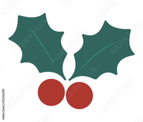 Christmas holly leaves and berries_Holiday vector illustration