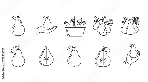 Sketchy pear collection hand drawn fruit icons simple line art fruit elements isolated food graphics silhouette