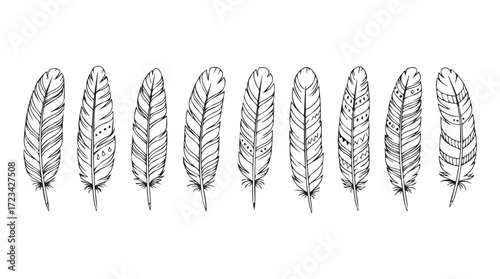 Set of hand drawn feathers with bohemian style designs for artistic projects silhouette