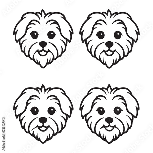 A Graceful and Elegant Maltese, a Classic Toy Breed Companion with a Silky Coat, a Pure White Lapdog Displaying Timeless Beauty and Charm
