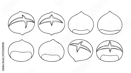 Collection of hand drawn chestnut outline icons for food and autumn theme designs silhouette