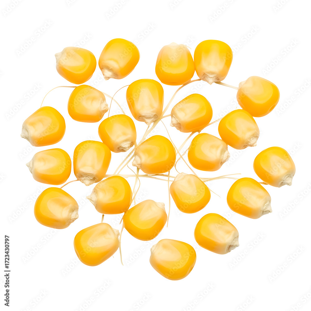Fototapeta premium A pile of bright yellow corn kernels scattered on a black background Keywords: corn, kernels, maize, grain, food