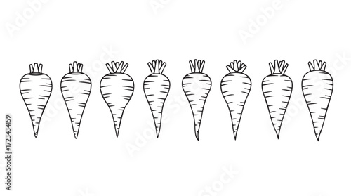 Hand drawn sketches of various root vegetables in a row organic produce lineup silhouette