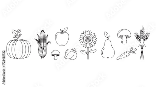 Collection of hand-drawn fresh autumn harvest fruits and vegetables artistic outline icons silhouette