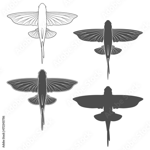 Set of black and white flying fish illustrations. Isolated vector object on white background.