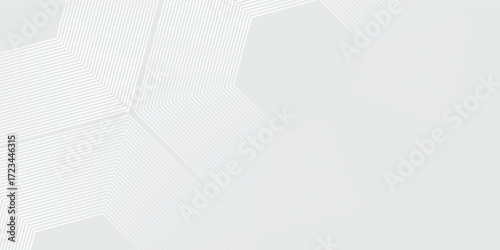 Hexagon white gray wave light technology texture background. Abstract big data digital concept simple. vector ilustration.