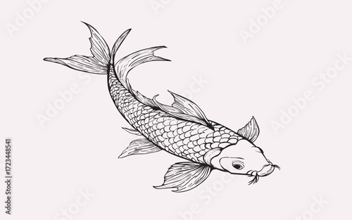 A detailed hand-drawn illustration of an elegant koi fish in black and white line art. Perfect for cultural, spiritual, or decorative designs.