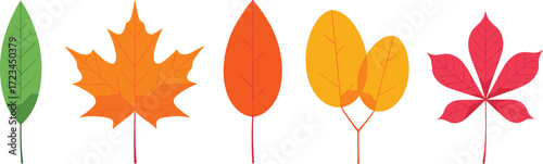 Vibrant conceptual set of assorted autumn leaves, a colorful illustration of fall foliage icons isolated on a white background