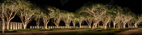 Dramatically uplighted trees accentuate a large estate garden at night, creating a serene and elegant ambiance with carefully positioned landscape lighting.