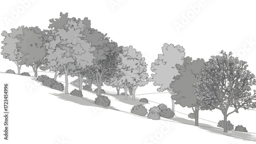 A detailed black and white sketch of a row of various deciduous trees and shrubs on a gentle slope in silhouette