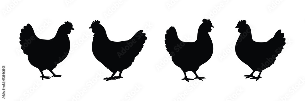 Fototapeta premium Four black chicken silhouettes standing in a row isolated on white background
