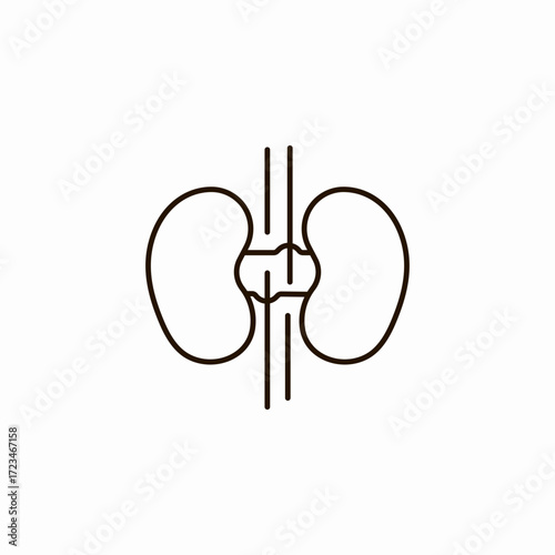 human kidney organ icon sign vector