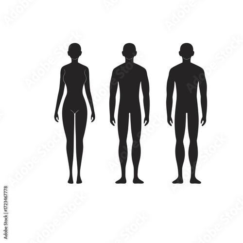 Human body outline vector illustration woman and man silhouette