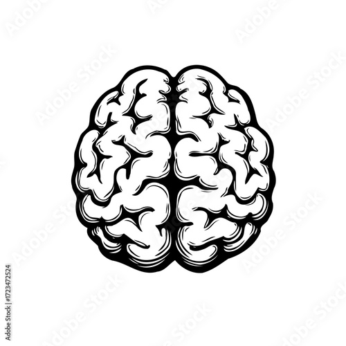 A monochrome anatomical representation of the cerebral organ offering insight into thought